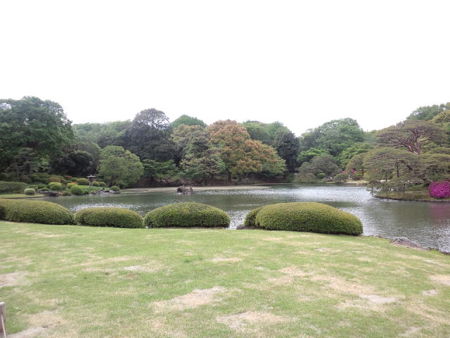 池と庭3