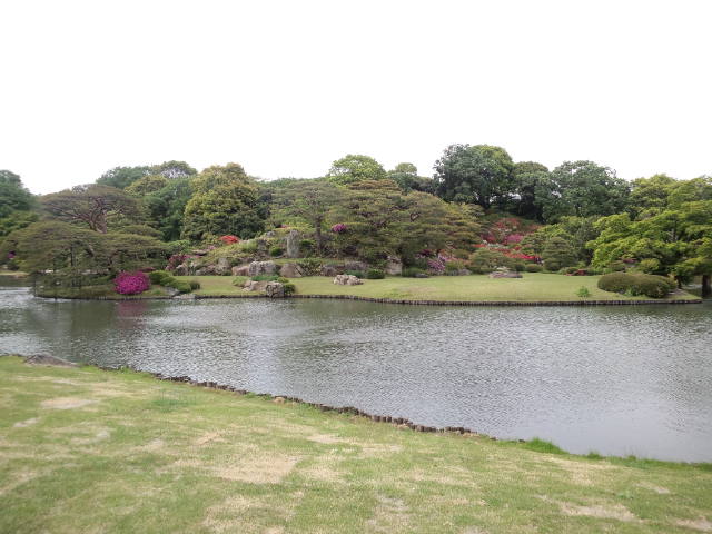 池と庭