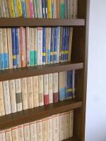 Bookshelf2.jpg