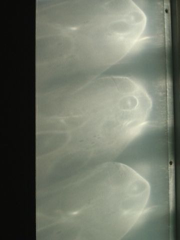 Jellyfish?(2009.10.01)