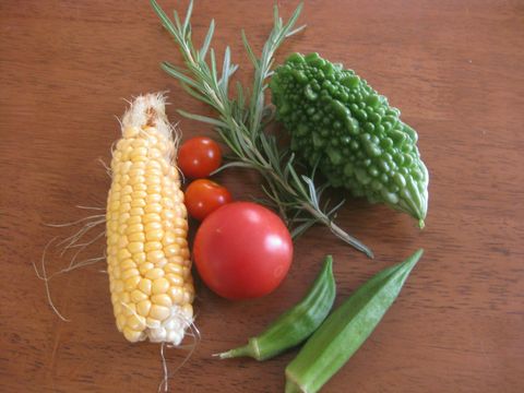 収穫野菜