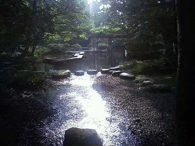 　尾山神社の池