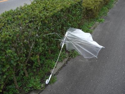 つぶれ傘