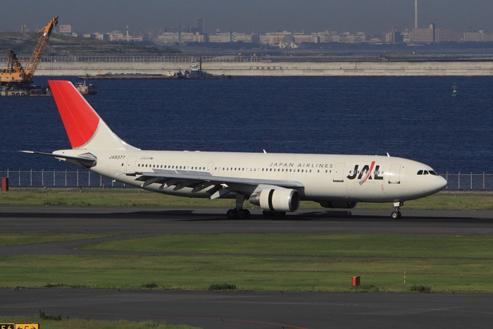 090913_JAL JA8377 A300-600R