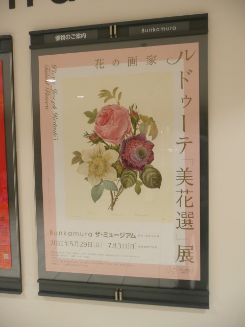 花の画家 ルドゥーテ『美花選』展 【Bunkamuraザ・ミュージアム
