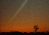 comet-swarm-bombs-sun_31316_170.jpg